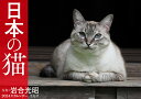 2024年カレンダー　日本の猫 [ 岩合　光昭 ]