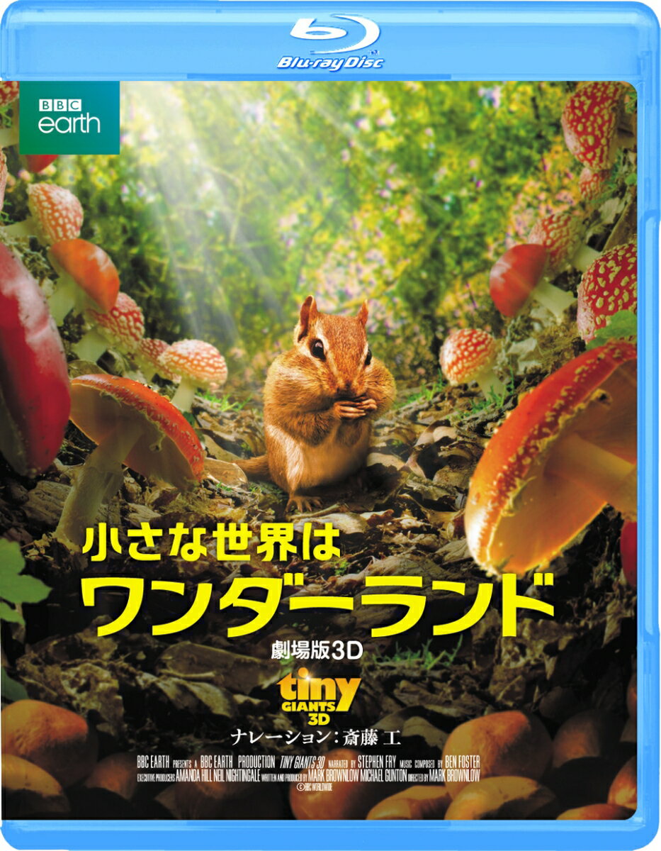 小さな世界はワンダーランド／劇場版3D【3D Blu-ray】
