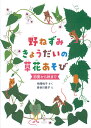 野ねずみきょうだいの草花あそび 初夏から秋まで （福音館の単行本） [ 相澤悦子 ]