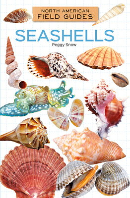 Seashells SEASHELLS （North American Field Guides Set 2） 