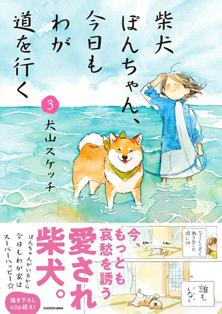 柴犬ぽんちゃん、今日もわが道を行く3