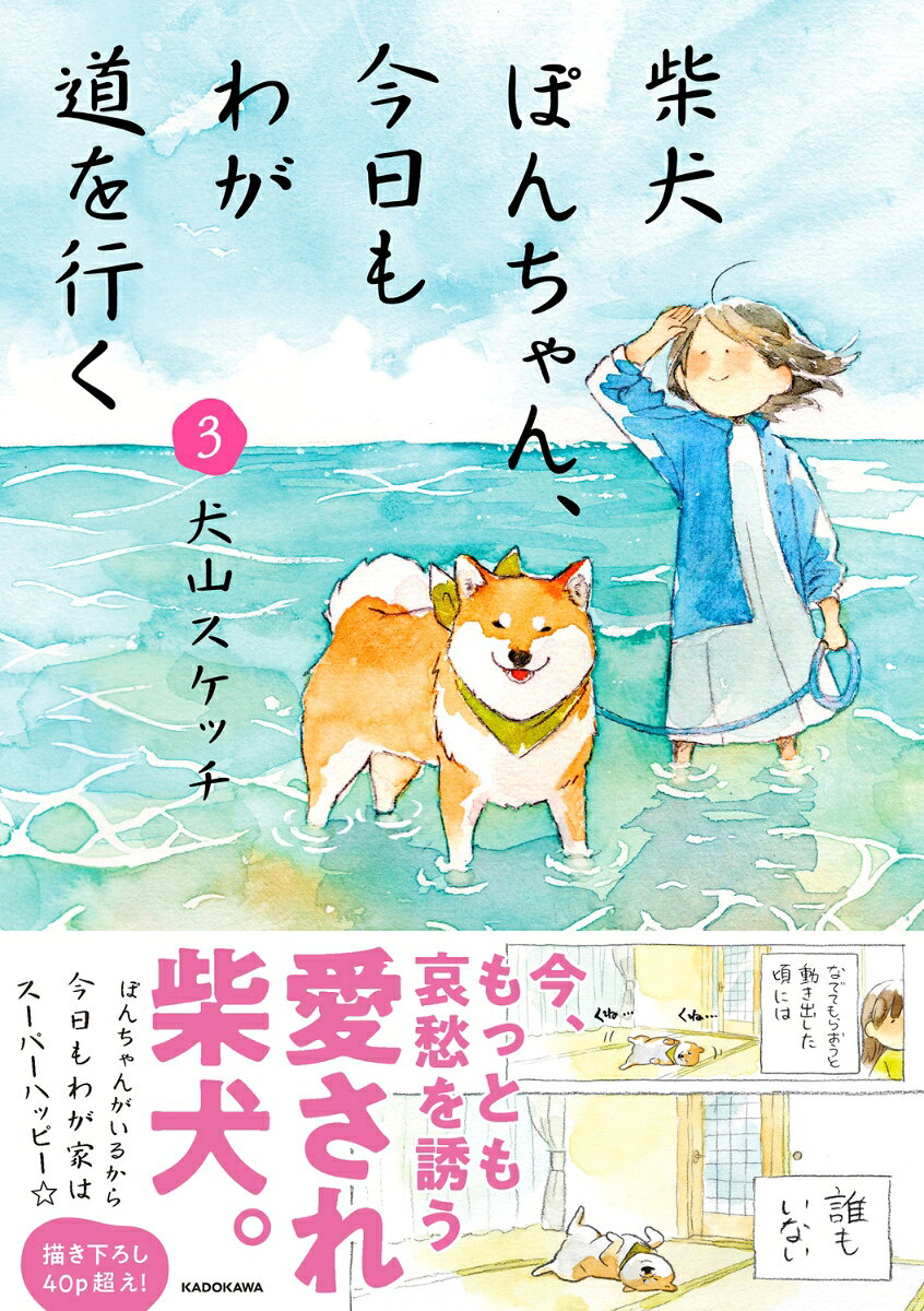 柴犬のぽんた(通称ぽんちゃん)、性格はマイペース。
お散歩からの帰宅拒否、散歩にいけなかったことに不満爆発、ドライヤーの風と戦って、飼い主のお昼寝をちょいとお邪魔……。
色々な表情を見せてくれる、いつだってマイペースなぽんちゃんが愛おしい！

いつだって予想の斜め上をいく、見ていて飽きないぽんちゃんのストーリーが盛りだくさんの1冊。
単行本でしか読めないp40超え長編マンガ「ぽんちゃん、海へ行く」などを収録。

もくじ
1章　我が家のぽんちゃん
2章　己を突き通すぽんちゃん
3章　高まるぽんちゃん
4章　愛しのぽんちゃん
描き下ろし　ぽんちゃん、海へ行く
もくじ
1章　我が家のぽんちゃん
2章　己を突き通すぽんちゃん
3章　高まるぽんちゃん
4章　愛しのぽんちゃん
描き下ろし　ぽんちゃん、海へ行く