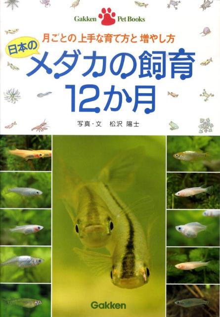 日本のメダカの飼育12か月 月ごとの上手な育て方と増やし方 （Gakken　Pet　Books） [ ...