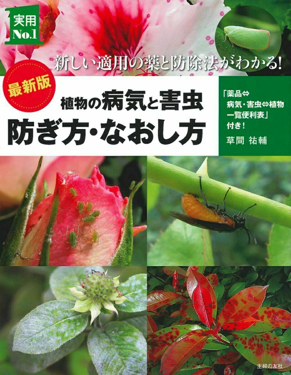 最新版　植物の病気と害虫　防ぎ方・なおし方 （実用No．1シリーズ） [ 草間祐輔 ]