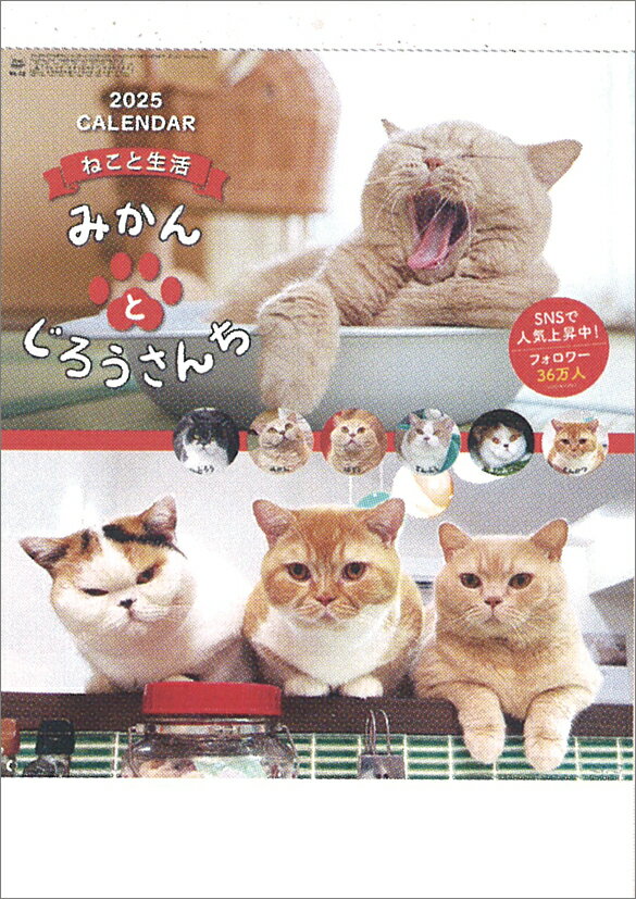 ねこと生活 みかんとじろうさんち（2025年1月始まりカレンダー）のサムネイル