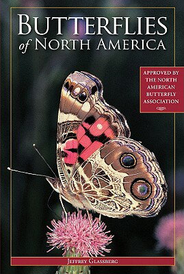 Butterflies of North America BUTTERFLIES OF NORTH  ...