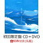 【先着特典】宜候 (初回限定盤 CD＋DVD)(クリアファイル(A5サイズ))