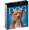 Dog Page-A-Day Gallery Calendar 2023: An Elegant Canine Celebration DOG PAGE-A-DAY GALLERY CAL 202 [ Workman Calendars ]