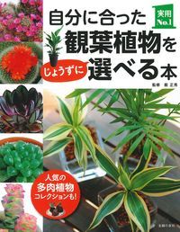 自分に合った観葉植物をじょうずに選べる本 （実用No．1シリーズ） [ 薮正秀 ]