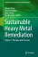 Sustainable Heavy Metal Remediation: Volume 1: Principles and Processes SUSTAINABLE HEAVY METAL REMEDI Environmental Chemistry for a Sustainable World [ Eldon R. Rene ]