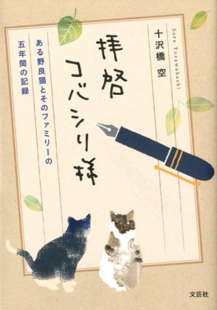 ある野良猫とそのファミリーの五年間の記録 十沢橋空 文芸社ハイケイ コバシリサマ トザワバシ,ソラ 発行年月：2018年08月01日頃 予約締切日：2018年07月11日 ページ数：180p サイズ：単行本 ISBN：9784286196213 本 美容・暮らし・健康・料理 ペット 犬