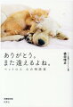 テレビのどうぶつ番組で大反響！！先立ったペットたちに贈る言葉としてはごめんねよりありがとうの方がお似合いです。動物のお坊さんがペットロスに悩むあなたのこころを癒します。