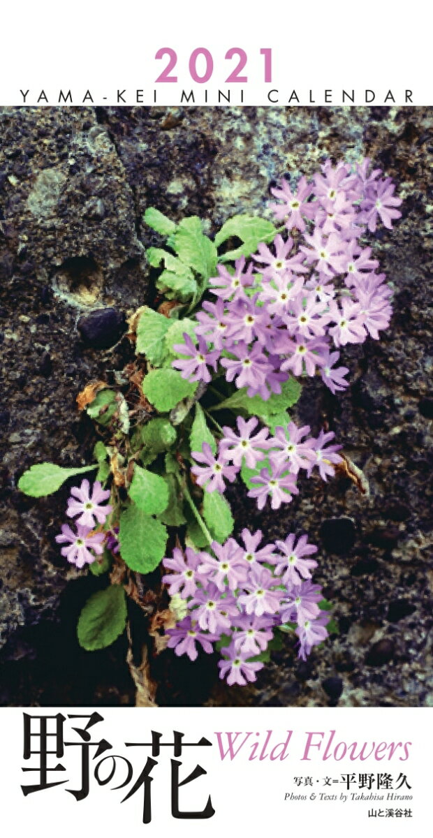 ミニカレンダー野の花（2021）