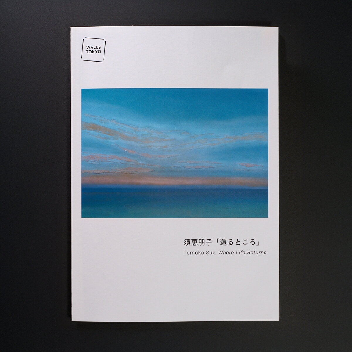 須惠朋子 展覧会カタログ「還るところ」