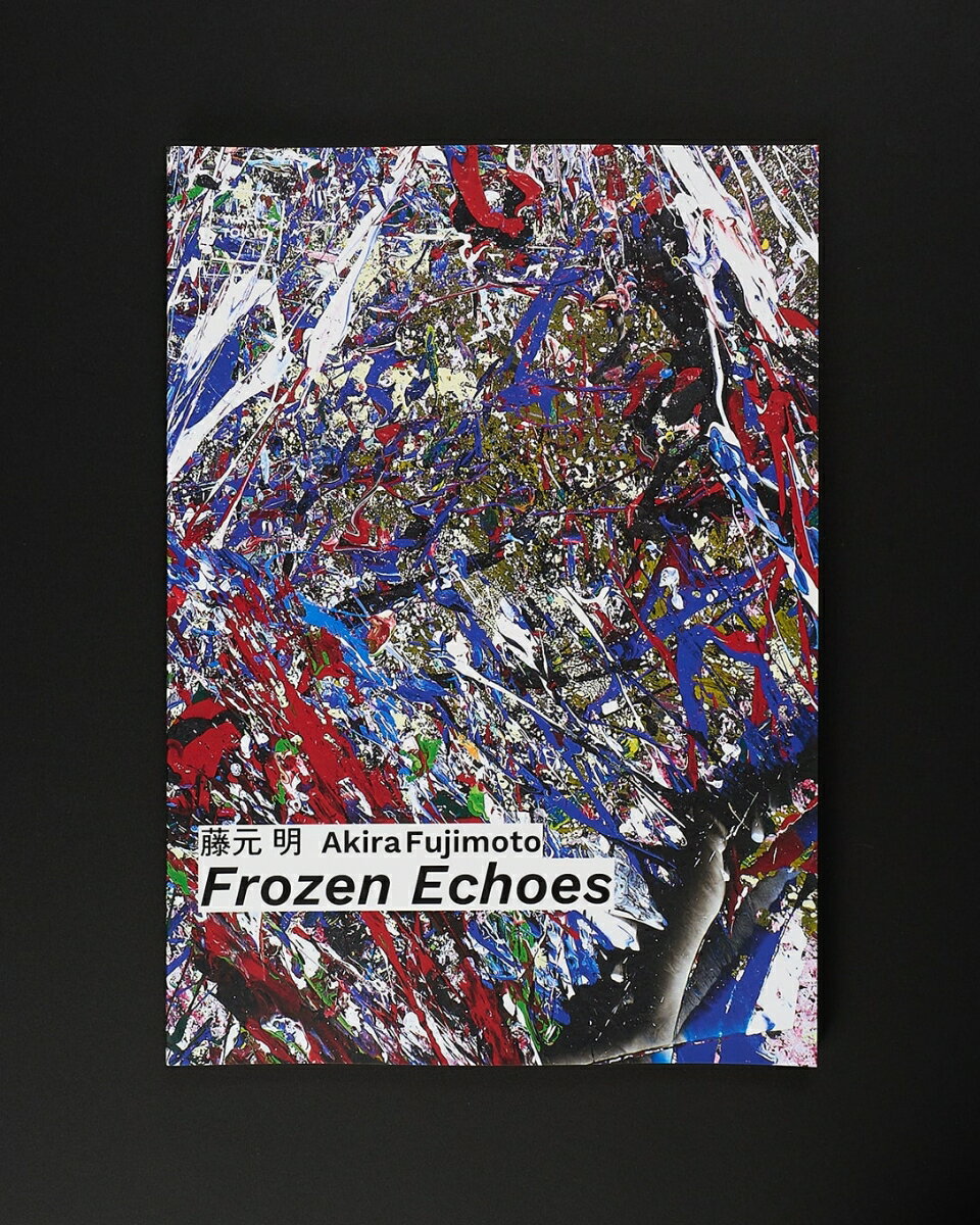 藤元明 展覧会カタログ「Frozen Echoes」