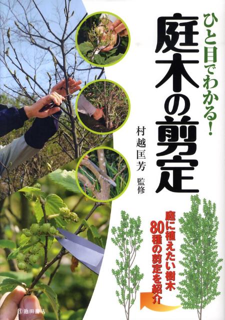 ひと目でわかる！庭木の剪定 庭に植えたい樹木80種の剪定を紹介 [ 村越匡芳 ]