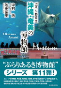 ぶらりあるき沖縄・奄美の博物館