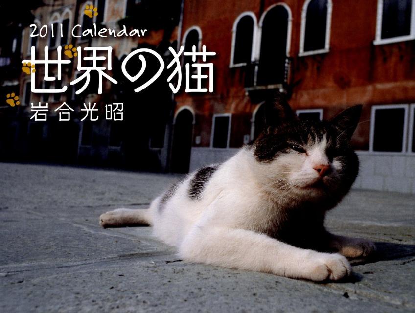 岩合光昭世界の猫カレンダー（2011）