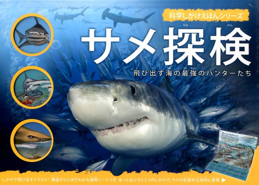 サメ探検