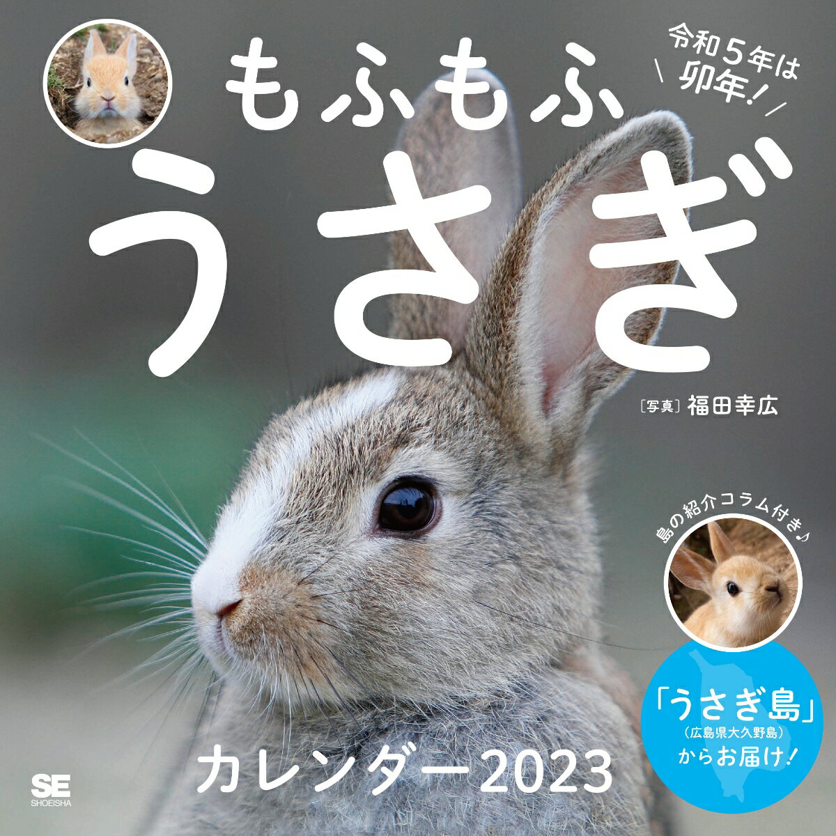 もふもふうさぎ カレンダー 2023 （翔泳社カレンダー） [ 福田 幸広 ]