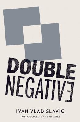 Double Negative DOUBLE NEGATIVE [ Ivan Vladislavic ]