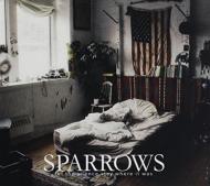 【輸入盤】Let The Silence Stay Where It Was
