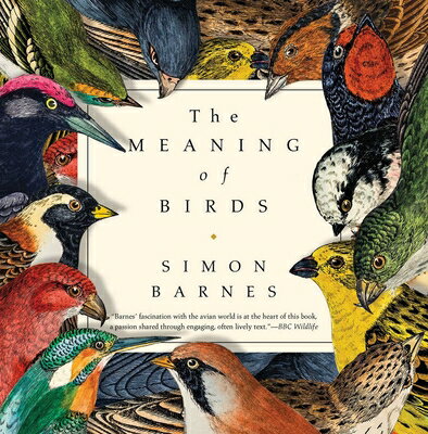 The Meaning of Birds MEANING OF BIRDS [ Simon Barnes ]