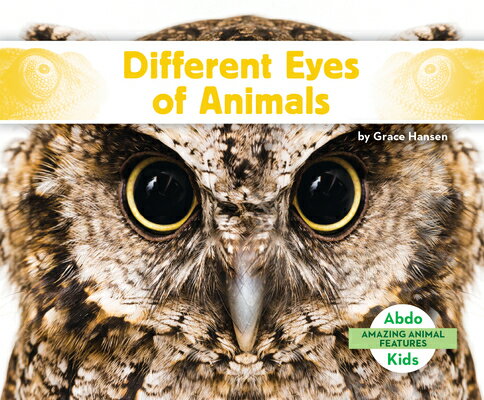 Different Eyes of Animals DIFFERENT EYES OF ANIMALS （Amazing Animal Features） 