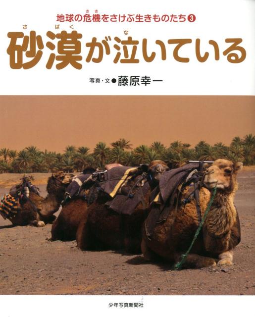 砂漠が泣いている