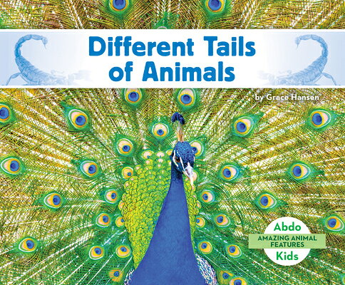 Different Tails of Animals DIFFERENT TAILS OF ANIMALS （Amazing Animal Features） 