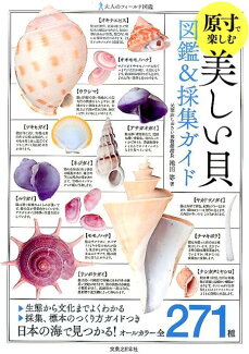 美しい貝図鑑&採集ガイドの表紙