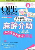 オペナーシング（2019 6（vol．34-6）
