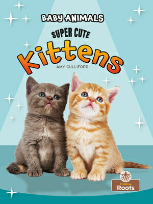 Super Cute Kittens SUPER CUTE KITTENS [ Amy Culliford ]