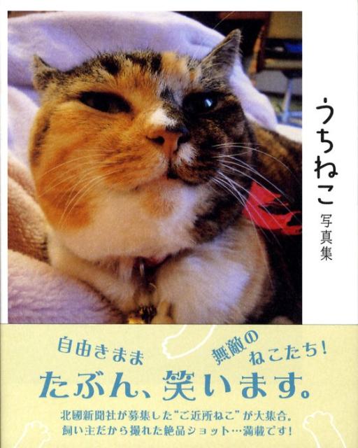 うちねこ写真集
