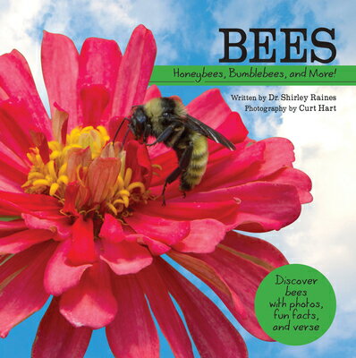 Bees: Honeybees, Bumblebees, and More! BEES （My Wonderful World） 