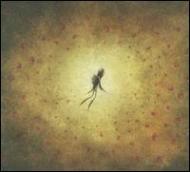 【輸入盤】Similes (Digi)