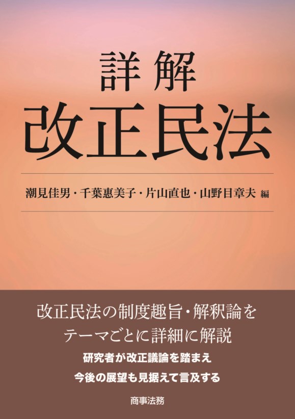 詳解　改正民法 [ 潮見 佳男 ]