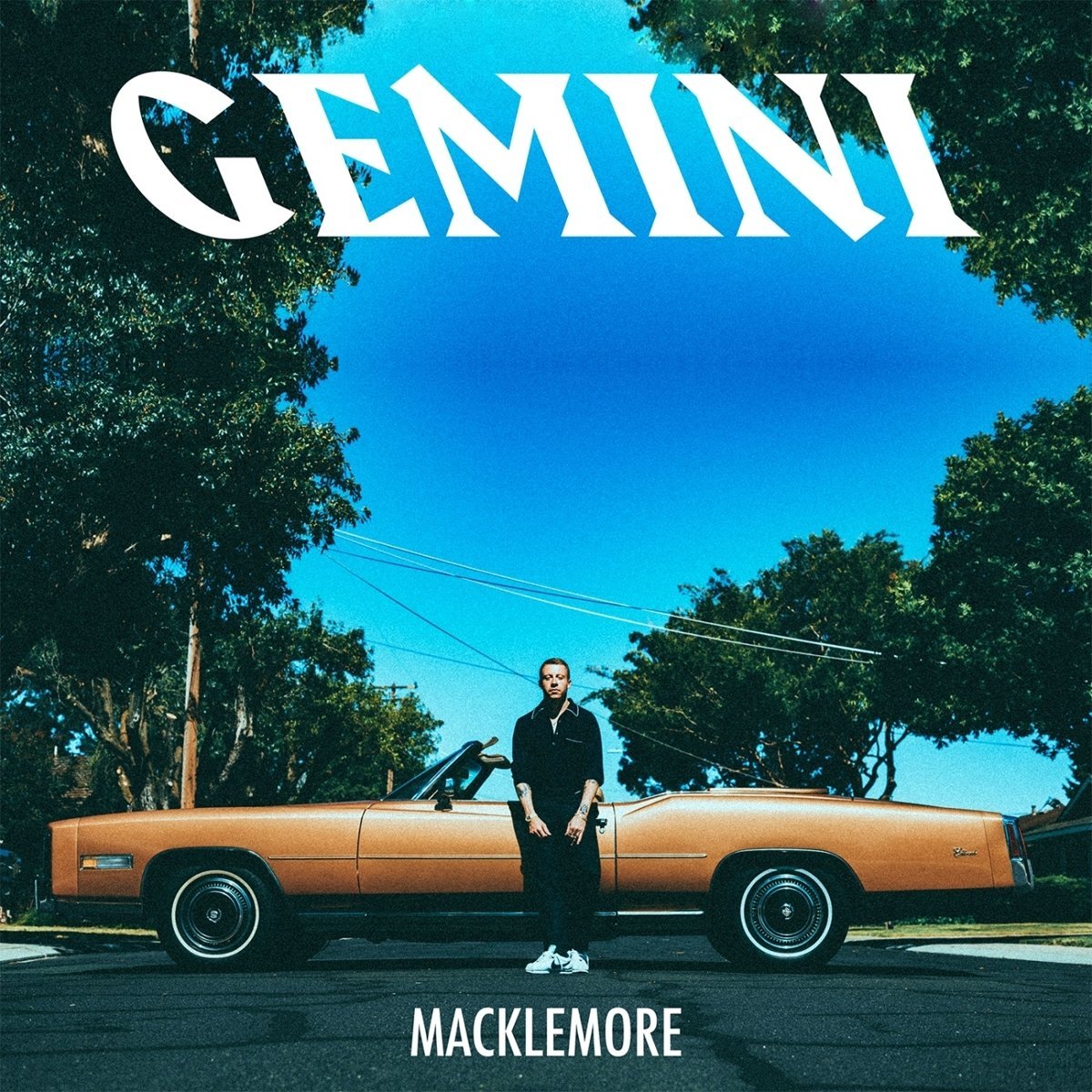 【輸入盤】Gemini (2枚組レコード)【アナログ盤】