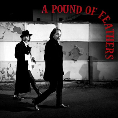 【輸入盤】A Pound Of Feathers
