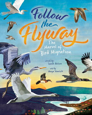 Follow the Flyway: The Marvel of Bird Migration FOLLOW THE FLYWAY [ Sarah Nelson ]