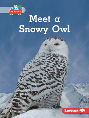 楽天楽天ブックスMeet a Snowy Owl MEET A SNOWY OWL （Let's Look at Polar Animals （Pull Ahead Readers -- Nonfiction）） [ Katie Peters ]