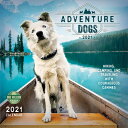 Adventure Dogs 2021 Wall Calendar: Hiking, Camping, and Traveling with Courageous Canines CAL-ADV DOGS 2021 WALL CAL Amber Lotus Publishing