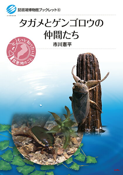 タガメとゲンゴロウの仲間たち 琵琶湖博物館ブックレット 6 [ 市川 憲平 ]