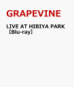 LIVE AT HIBIYA PARK【Blu-ray】 GRAPEVINE