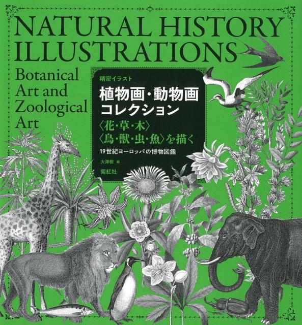 楽天楽天ブックス植物画・動物画コレクション ＜花・草・木＞＜鳥・獣・虫・魚＞を描く 19世紀ヨーロッパの博物図鑑 （精密イラスト） [ 大津樹 ]