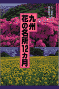 九州花の名所12カ月改訂第2版