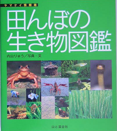 田んぼの生き物図鑑 （ヤマケイ情報箱） [ 内山りゅう ]