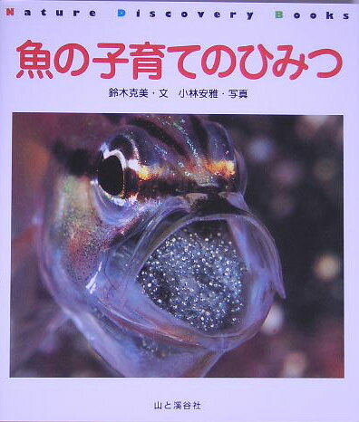 魚の子育てのひみつ