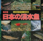 日本の淡水魚改訂版