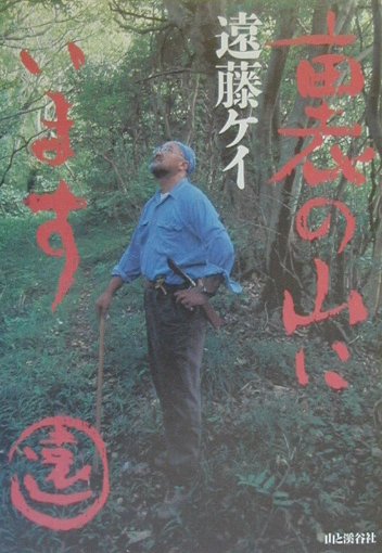 裏の山にいます